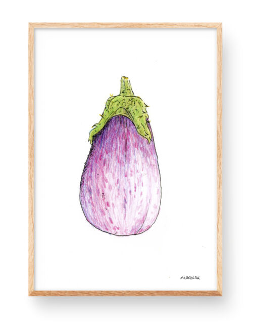 Dibujo en acuarela de una berenjena en la colección de láminas de verduras para cocinas