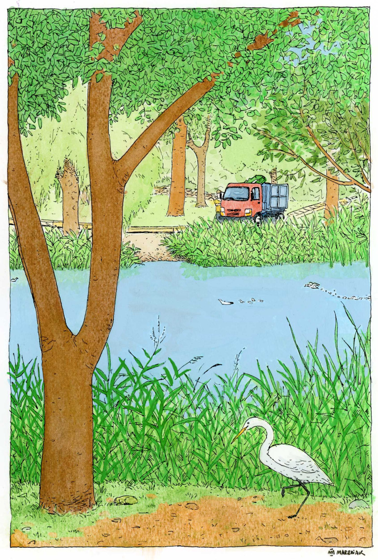 A heron and a frog in l'Alqueria del Duc, Gandia