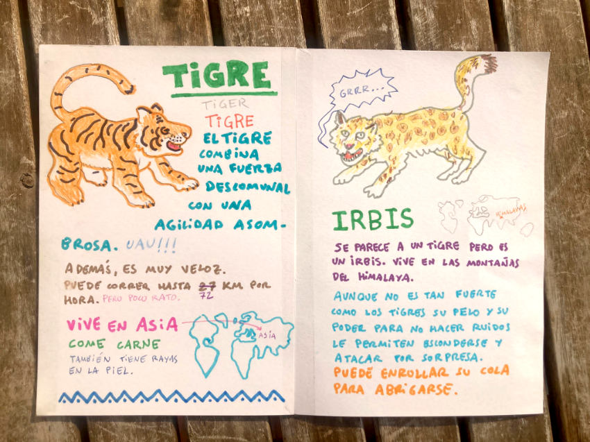 animals and their powers