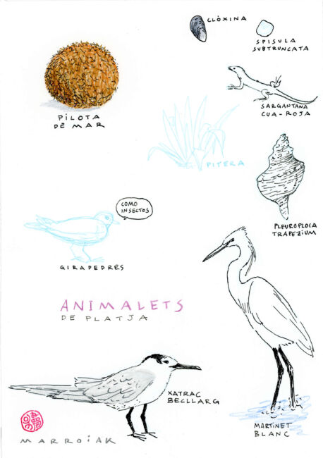 Animalets de la platja original subasta dibujo