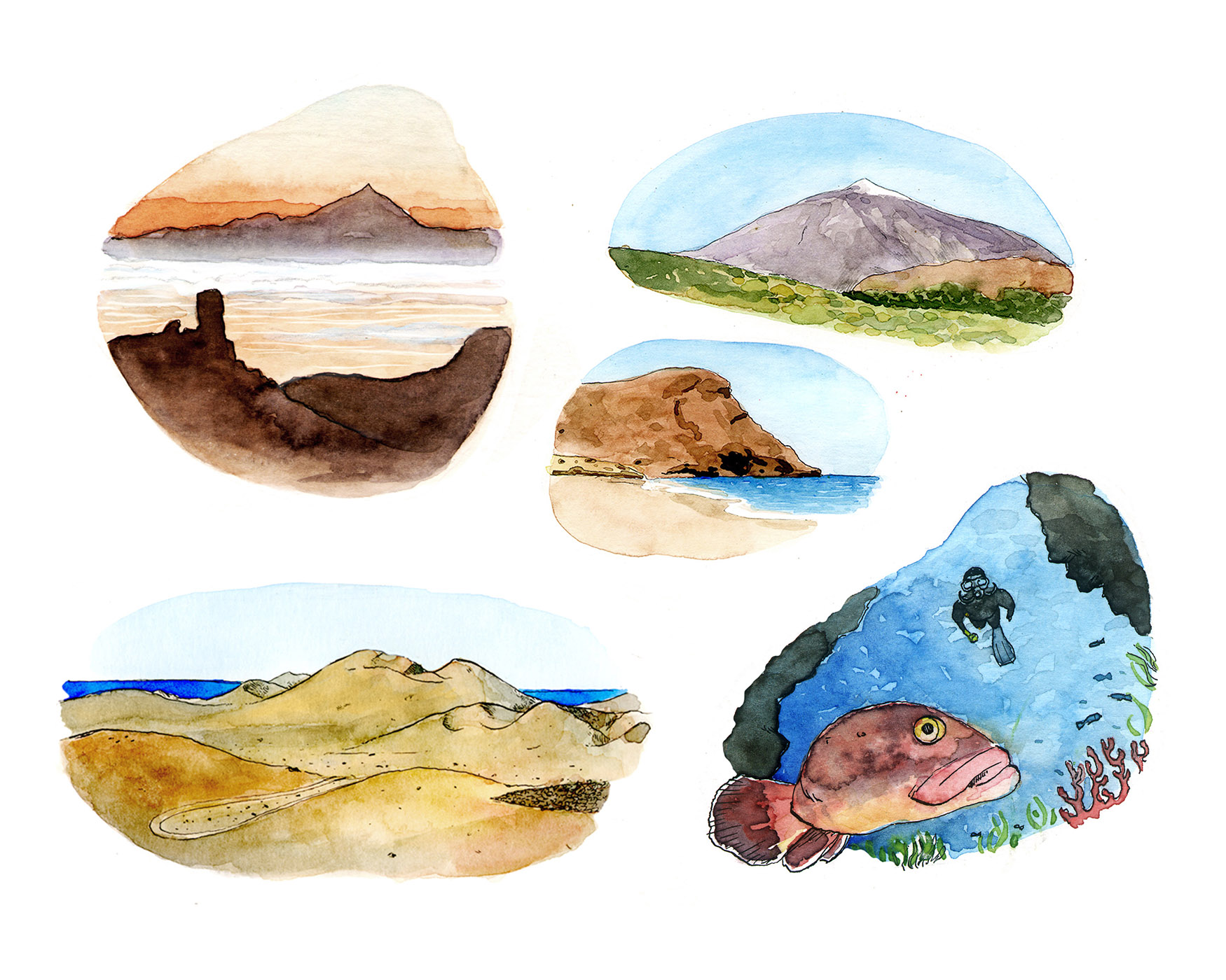 Watercolor drawings with different images of the Canary Islands.