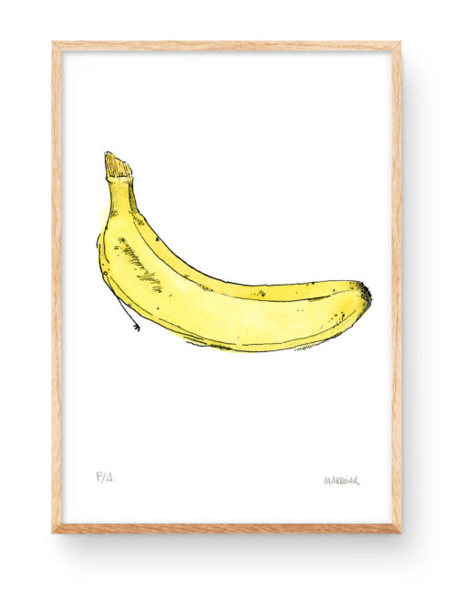 Lámina ilustración banana (plátano) en acuarela y tinta. Grabado firmado edición limitada y numerada