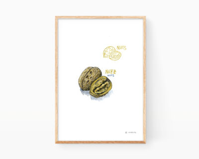 Lámina con un dibujo de una nuez para decorar cocinas. Ilustraciones de frutos secos y plantas