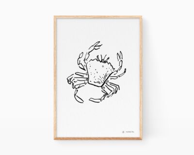 Cuadros animales del mar. Lámina con una ilustración de un cangrejo de arena de Valencia. Dibujo blanco y negro Print decorativa para enmarcar.