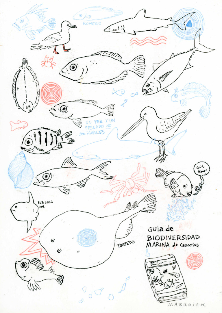fish of the canary islands original drawing auction