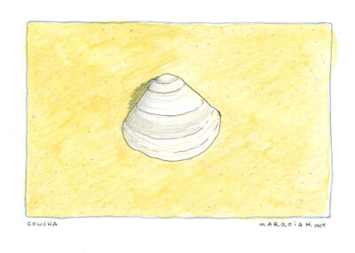 postal concha dibujo acuarela playa
